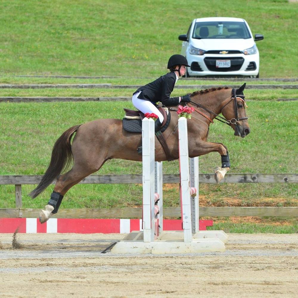 Meet your Posher, Nora